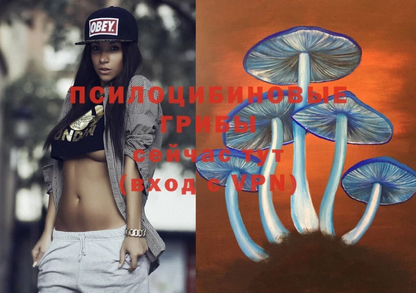 спиды Елизово