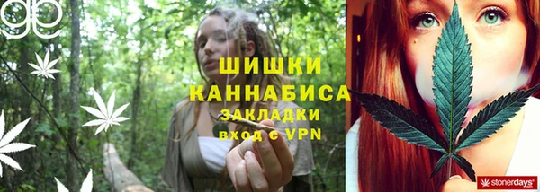 мет Касимов