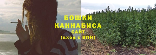 спиды Елизово